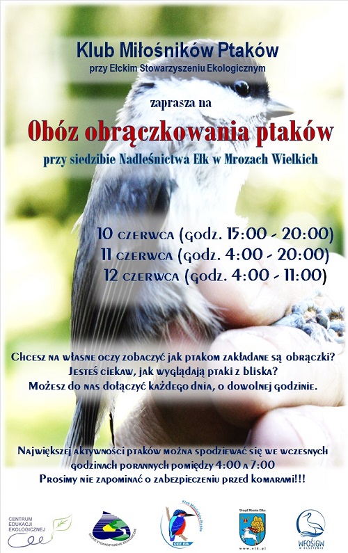 plakat2.jpg