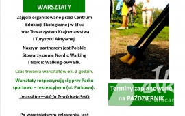 Nordic Walking - Twoja broń w walce o zdrowie i sprawność