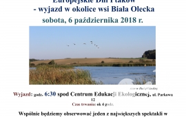 European Days of birds-autumn journey around the village of White Lee