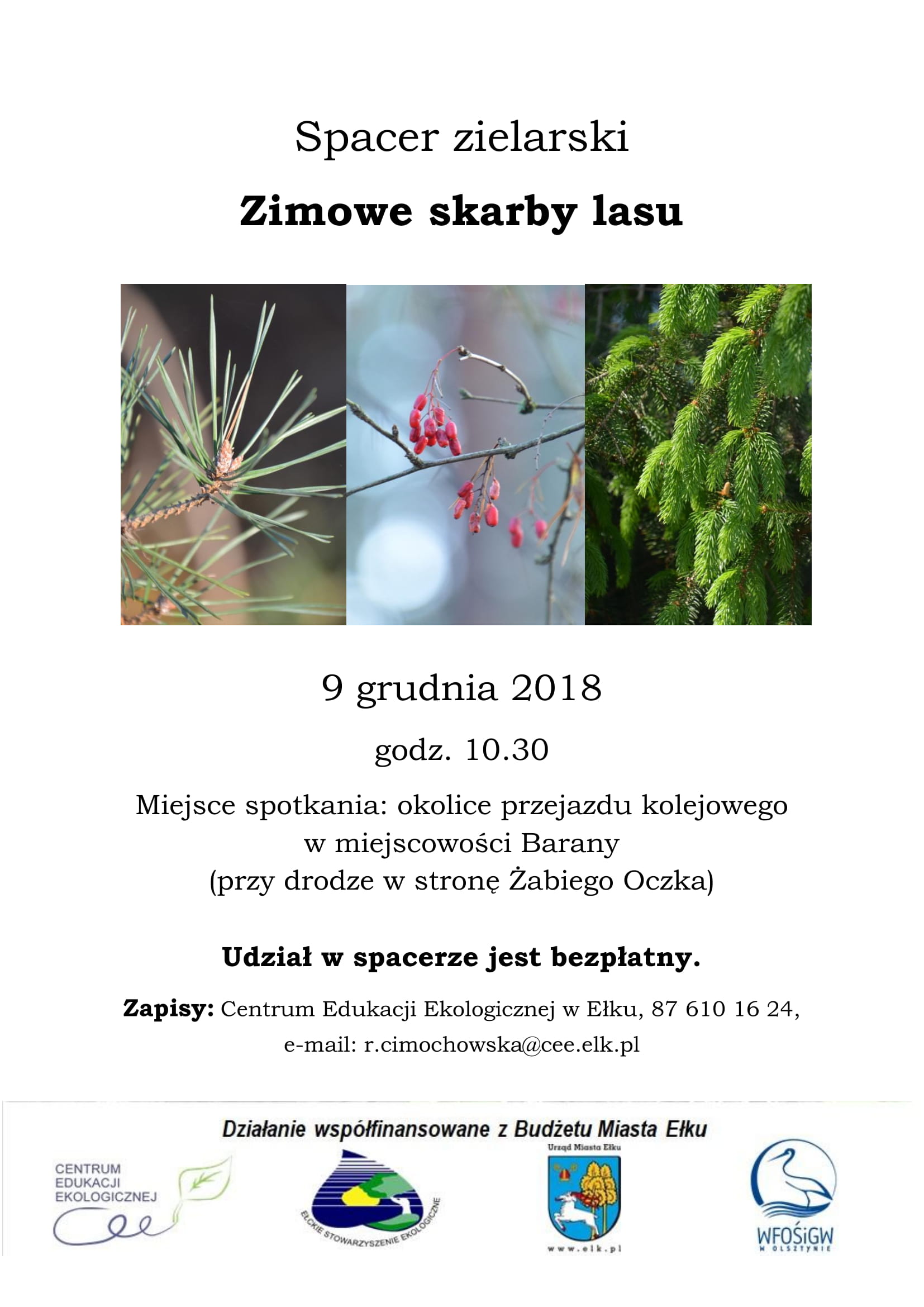 Spacer grudniowy plakat-1.jpg