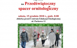Przedświąteczny spacer ornitologiczny