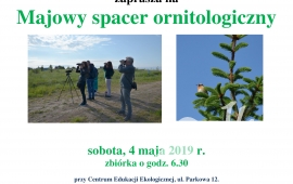 Majowy spacer ornitologiczny