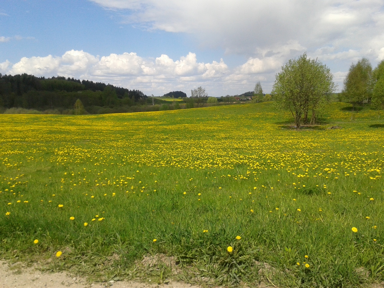 20160504_130024.jpg
