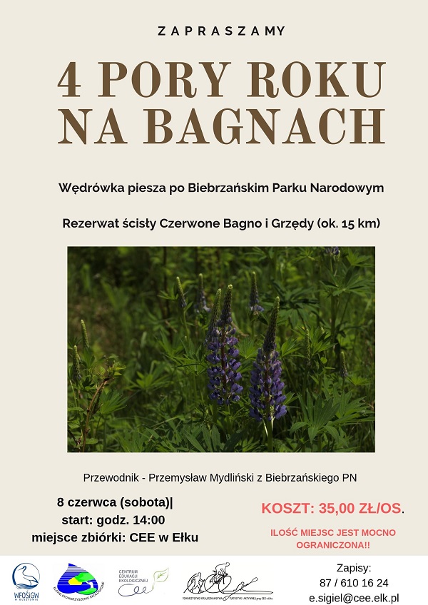 4 pory roku na bagnach (3).jpg plakat .jpg2.jpg
