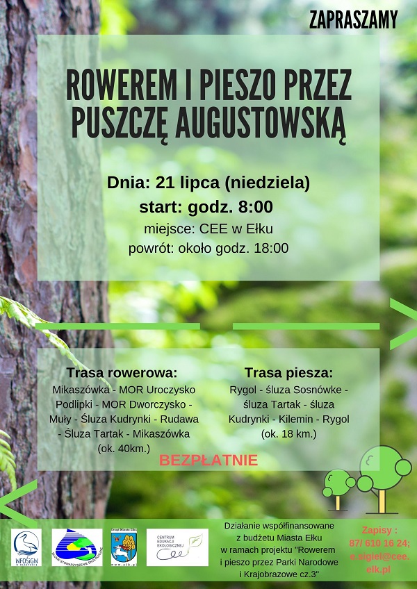 PUSZCZA AUGUSTOWSKA 21.07.jpg 2.jpg