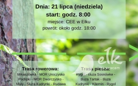 Rowerem i pieszo przez Puszczę Augustowską