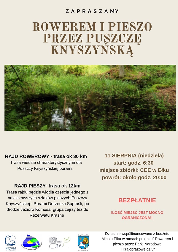 4 pory roku na bagnach (11).jpg11.jpg