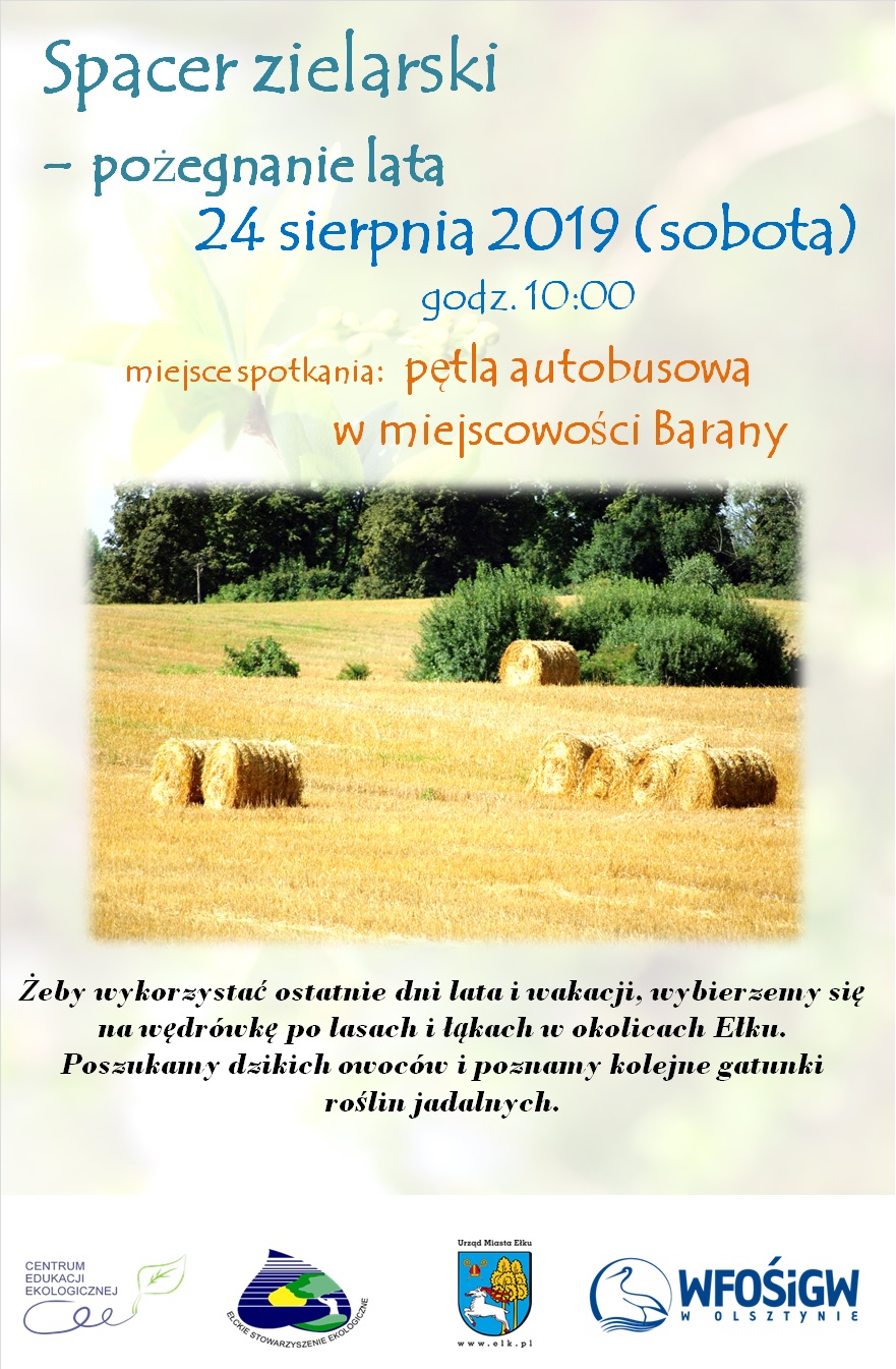 spacer 24.08.jpg