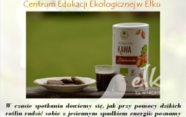 Gdy zabraknie kawy - warsztaty zielarskie
