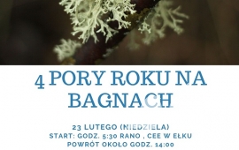 4 PORY ROKU NA BAGNACH - wędrówka piesza po Biebrzańskim Parku Narodowym