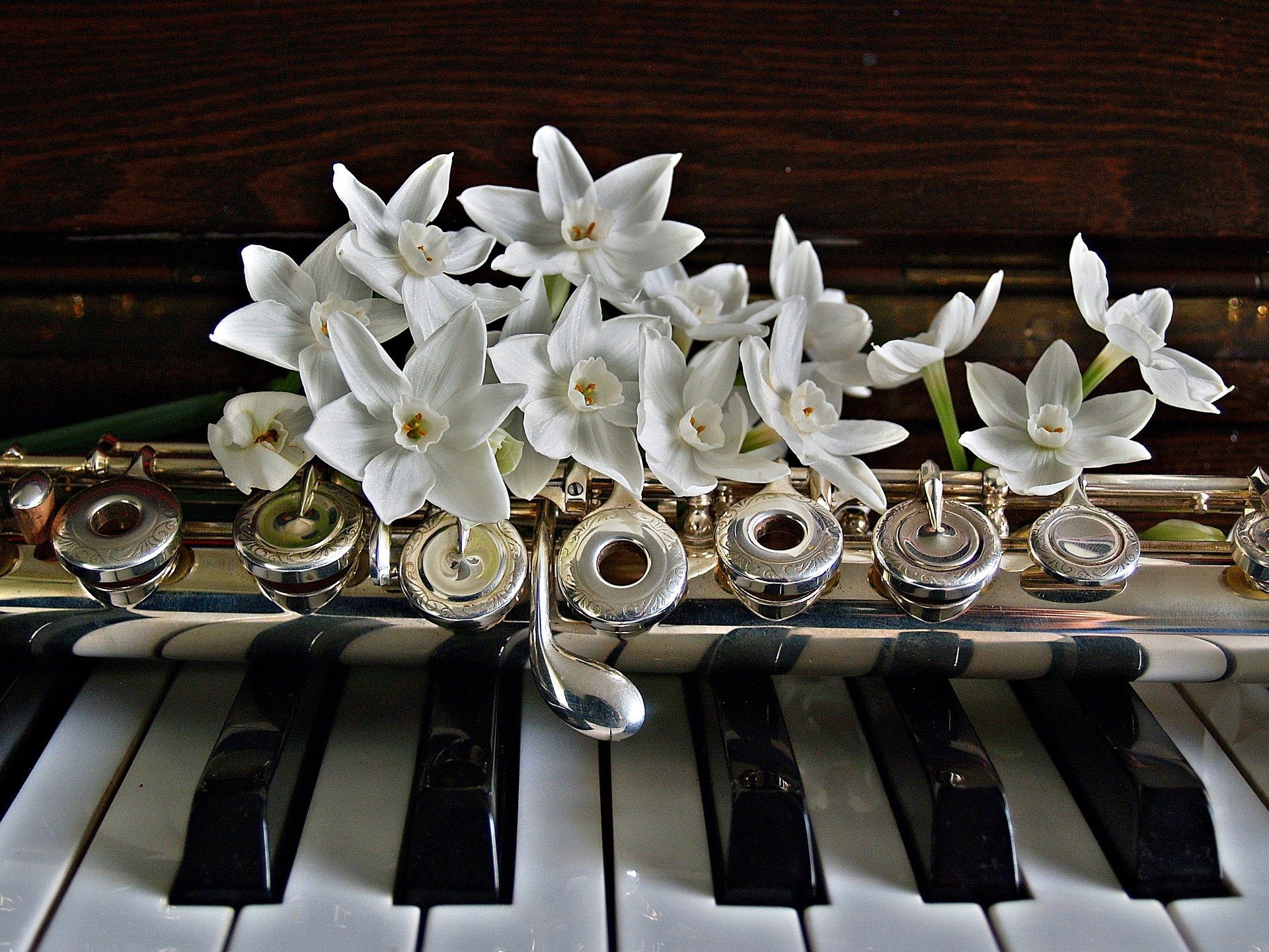 piano-1399926_1920.jpg