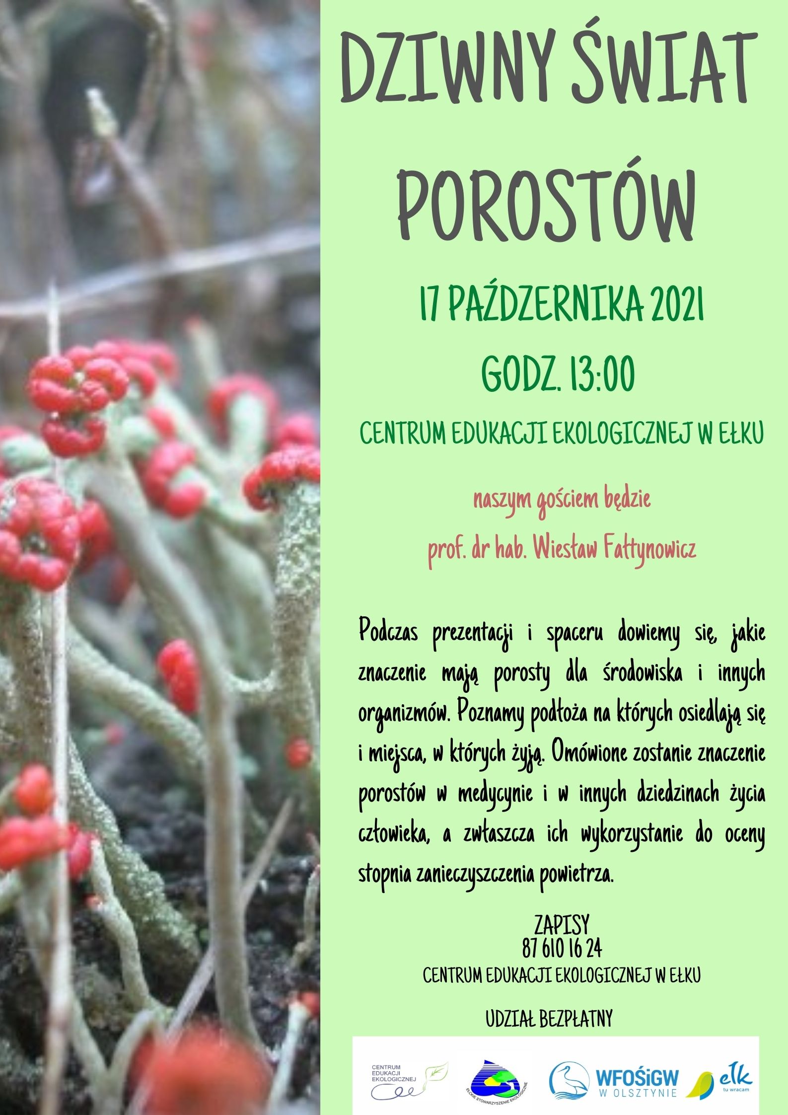 DZIWNY ŚWIAT POROSTÓW m (2).jpg