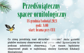 Przedświąteczny spacer ornitologiczny