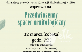 Przedwiosenny spacer ornitologiczny