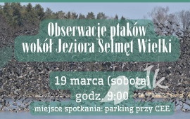 Obserwacje ptaków wokół Jeziora Selmęt Wielki