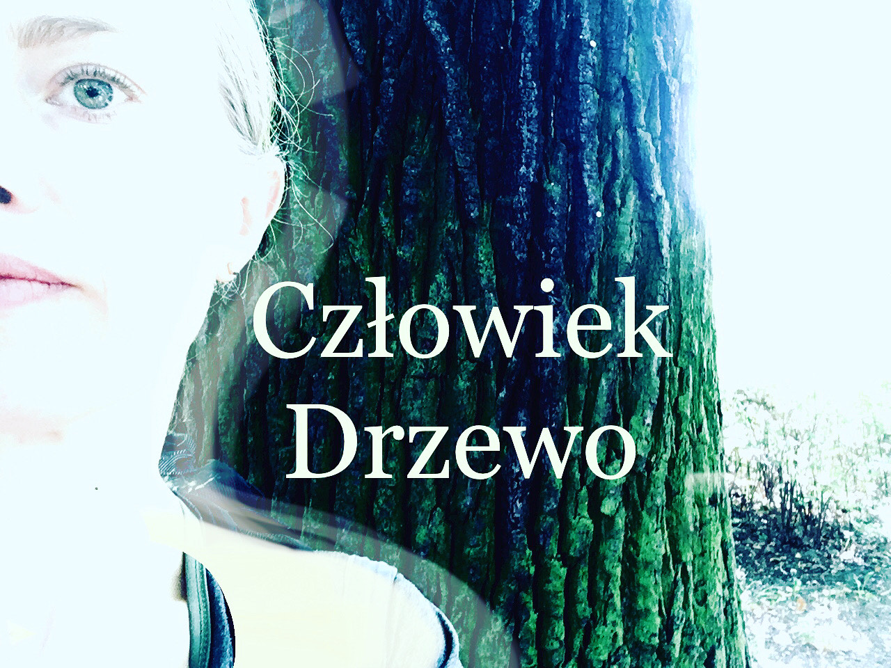 czlowiek drzewo.JPG