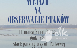 Wyjazd na obserwacje ptaków