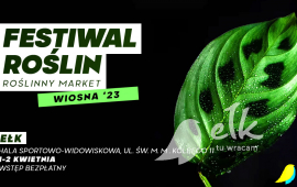 Festival of plants
