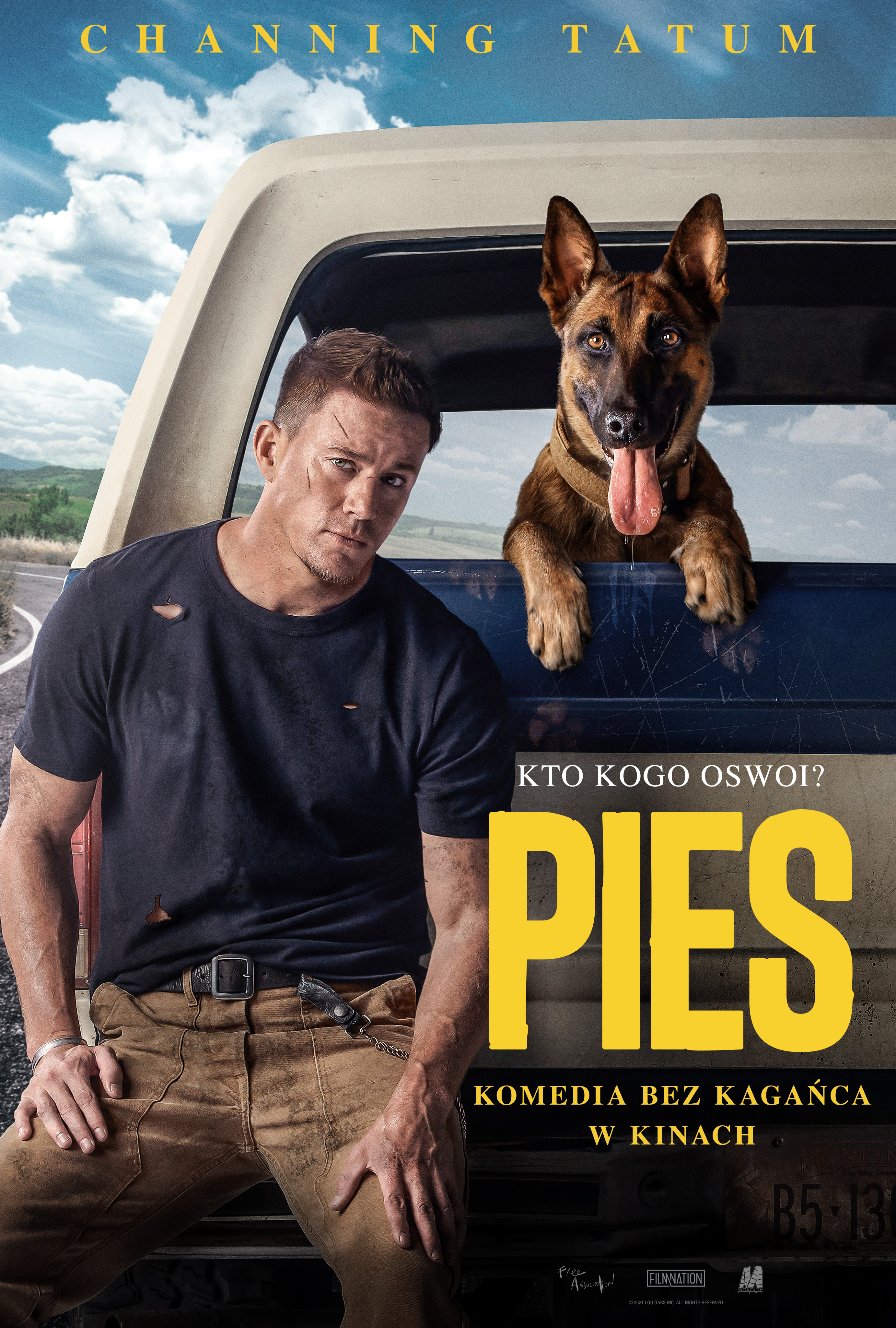 PIES_pl3[4].jpg