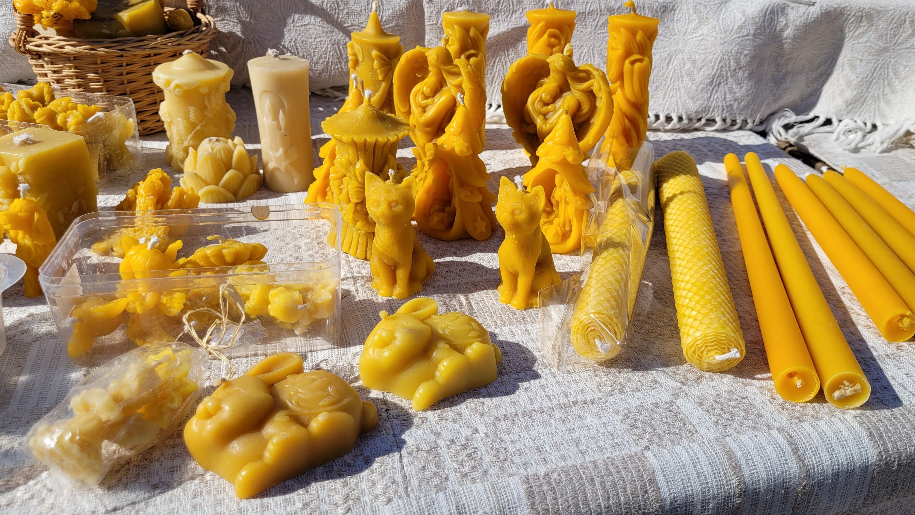 20220924_124827.jpg