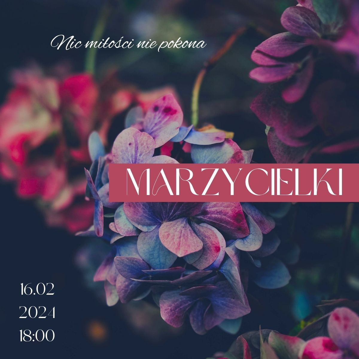 Marzycielki instagram.jpg
