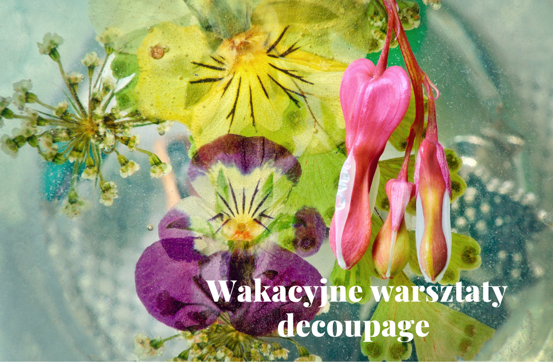 Warsztaty.png
