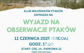 Wyjazd na obserwacje ptaków