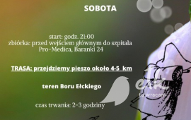 Las nocą - wyprawa w poszukiwaniu świetlików