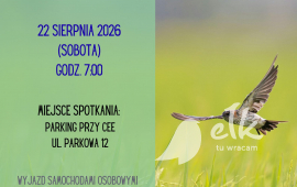 Wyjazd na obserwacje ptaków