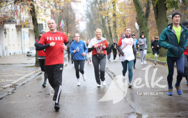 Bieg Niepodległości