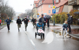 Bieg Niepodległości