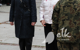 Obchody Narodowego Święta Niepodległości, Delegacja składająca kwiaty